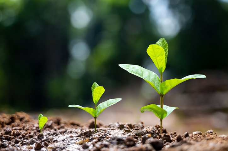 सीड पार्क से बीज उत्पादन में आत्मनिर्भर बनेगा उत्तर प्रदेश