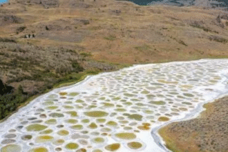 स्पॉटेड लेक : कनाडा की झील जहां खनिज धब्बे बनाते हैं रंगीन जादू