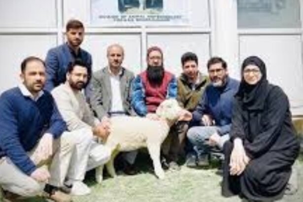 भारत के वैज्ञानिकों ने बकरी के बाद बनाया भेड़ का क्लोन