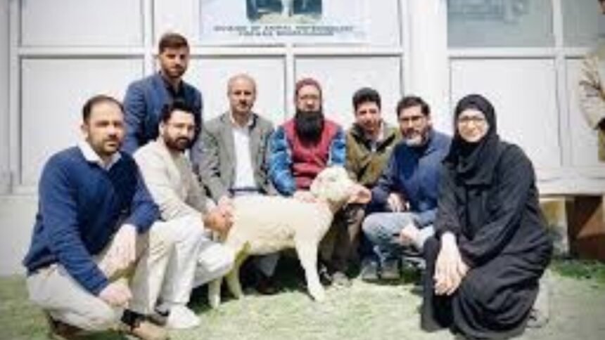 भारत के वैज्ञानिकों ने बकरी के बाद बनाया भेड़ का क्लोन
