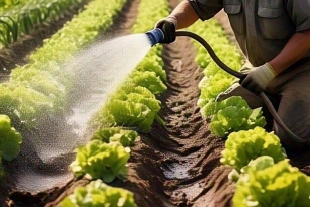 भारत सरकार किसानों के खेतों तक पाइपलाइन से पानी पहुंचाने की योजना बनाएगी