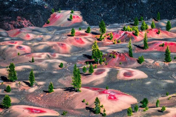 पेंटेड ड्यून्स : जिनके रंगों की छटा मौसम व सूर्य की रोशनी के अनुसार बदलती