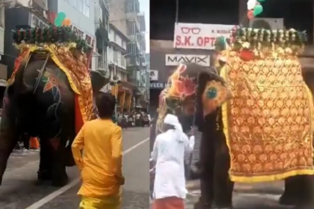 VIDEO : अहमदाबाद जगन्नाथ रथयात्रा में बेकाबू हुआ हाथी, भागने लगे लोग