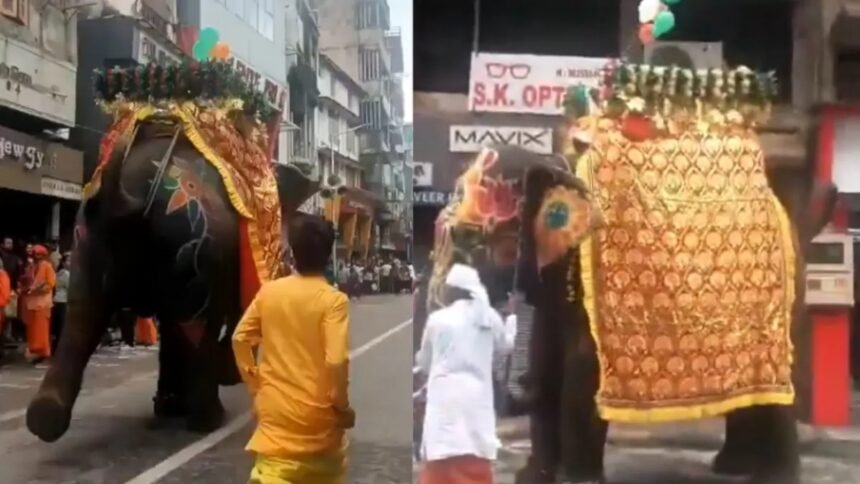 VIDEO : अहमदाबाद जगन्नाथ रथयात्रा में बेकाबू हुआ हाथी, भागने लगे लोग
