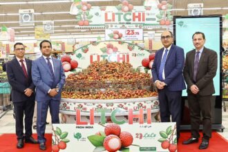 पंजाब की लीची से बढ़ रहा भारत का व्यापार, पठानकोट के सुजानपुर से पहुंची कतर के बाजार