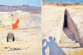 गिजा पठार के रहस्य : रेगिस्तान में खोजी गईं प्राचीन सीढ़ियां