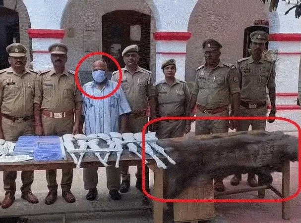 लखनऊ में हथियारों का जखीरा-हिरन की खाल मिली, थाने से 100 मी. दूरी पर हकीम चला रहा था फैक्ट्री