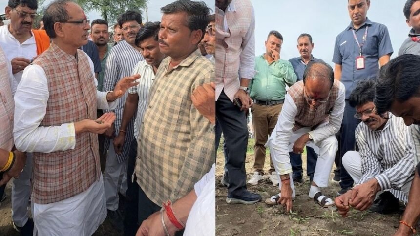 Fake Seed : नकली बीज बेचने वालों की खैर नहीं !, गंजबासौदा में किसान से कृषि मंत्री शिवराज ने किया बड़ा वादा