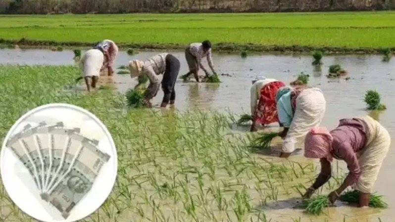 कृषि उन्नति योजना को लेकर गाइडलाइन जारी, प्रति एकड़ के हिसाब से इतना रुपए मिलेगी अनुदान सहायता
