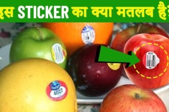 फलों पर क्यों लगाए जाते हैं स्टिकर? खरीदने से पहले जानें इसपर लिखे नंबरों का मतलब