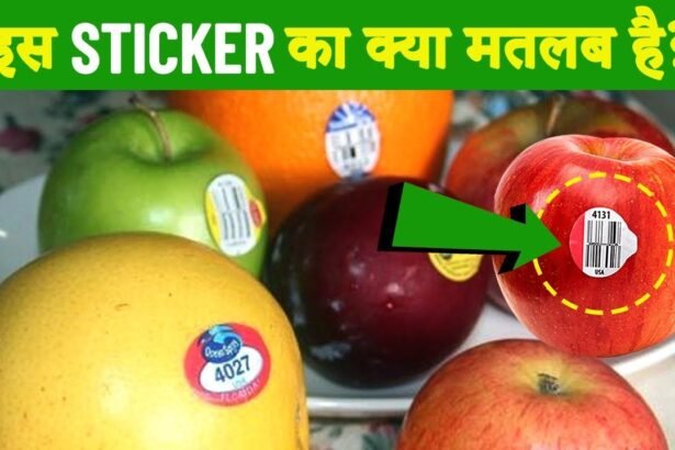 फलों पर क्यों लगाए जाते हैं स्टिकर? खरीदने से पहले जानें इसपर लिखे नंबरों का मतलब