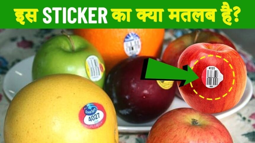 फलों पर क्यों लगाए जाते हैं स्टिकर? खरीदने से पहले जानें इसपर लिखे नंबरों का मतलब