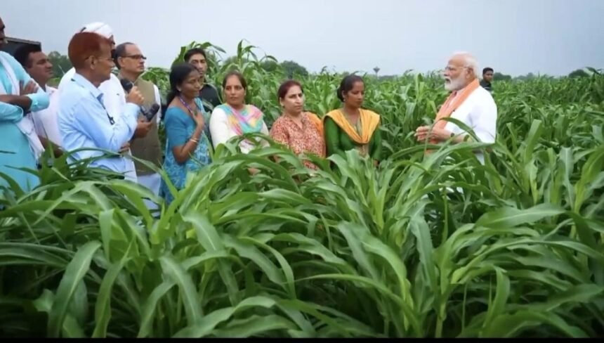 PM Kisan Samman Nidhi: 20वीं किस्त को लेकर बड़ा अपडेट, यूपी के किसानों के लिए राहत भरी खबर
