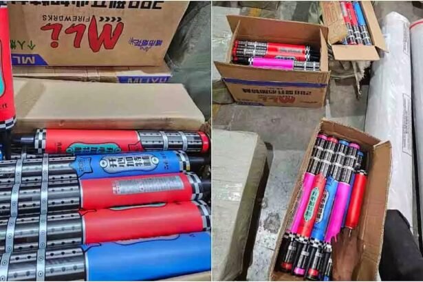 मुंद्रा बंदरगाह पर डीआरआई अधिकारियों द्वारा जब्त किए गए 5 करोड़ रुपये मूल्य के अवैध चीनी पटाखे और एक गिरफ्तार व्यक्ति।