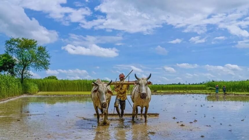 भारी बारिश से जलभराव और बाढ़ के बीच खेतों और नदियों में पानी की भरपूर मात्रा।