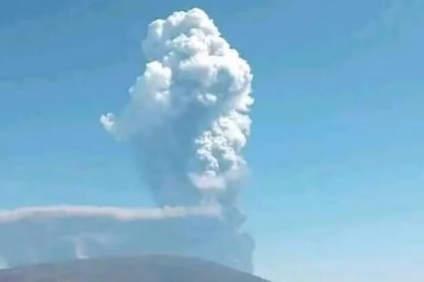 इथियोपिया के हायली गुब्बी ज्वालामुखी से उठता घना राख का बादल आसमान में ऊँचाई तक फैलता हुआ।