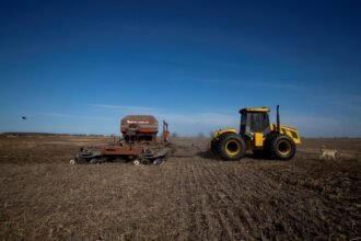 भारतीय किसान खेत में धान और मक्का की फसल की जाँच करते हुए