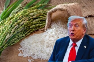 व्हाइट हाउस में अमेरिकी राष्ट्रपति डोनाल्ड ट्रंप किसानों और अधिकारियों के साथ चावल आयात पर चर्चा करते हुए।