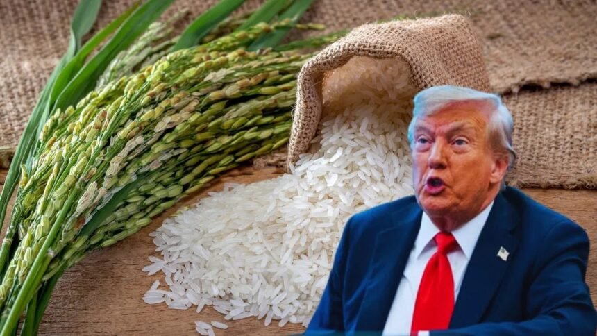 व्हाइट हाउस में अमेरिकी राष्ट्रपति डोनाल्ड ट्रंप किसानों और अधिकारियों के साथ चावल आयात पर चर्चा करते हुए।