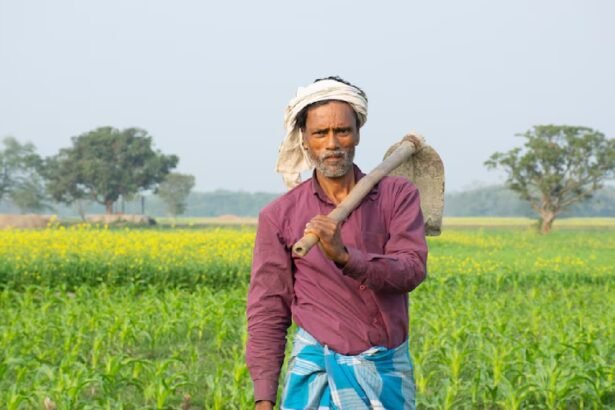 खेत के चारों तरफ नीम, पीपल और आंवला के पेड़ लगे हुए, फसल सुरक्षित और हरी-भरी।