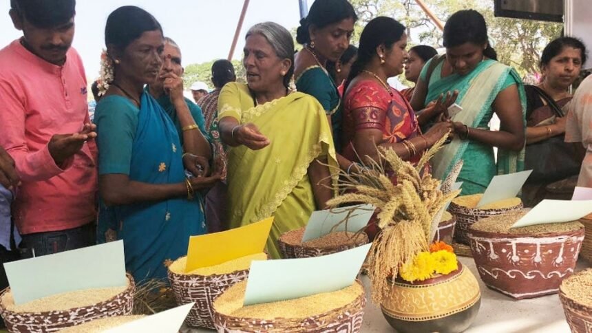 मांड्या कृषि विश्वविद्यालय में आयोजित तीन दिवसीय कृषि मेला-2025 में किसान और विशेषज्ञ नई कृषि तकनीक देख रहे हैं।