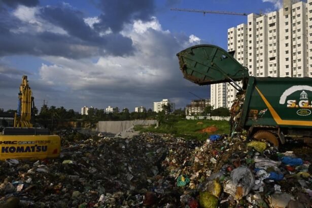 बायोरिमेडिएशन के लिए बैक्टीरिया और पौधों का उपयोग करते हुए प्रदूषित मिट्टी और जल को साफ करने की प्रक्रिया