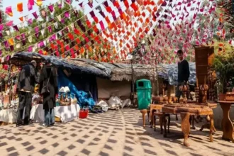 दिल्ली में पीएम विश्वकर्मा हाट 2026 का भव्य आयोजन, देश भर के कारीगर और शिल्पकार होंगे शामिल