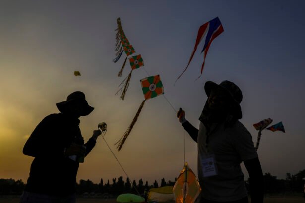 मकर संक्रांति पर नायलॉन मंझा से हुई मौतें, पतंग उड़ाने का खतरनाक दृश्य