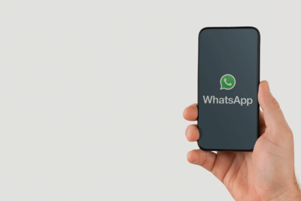 WhatsApp स्टेटस पर विज्ञापन और सब्सक्रिप्शन मॉडल की तैयारी