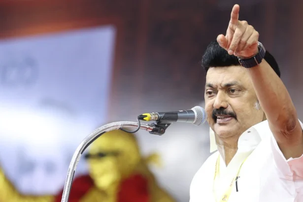 तमिलनाडु के मुख्यमंत्री एमके स्टालिन का हिंदी को लेकर बयान