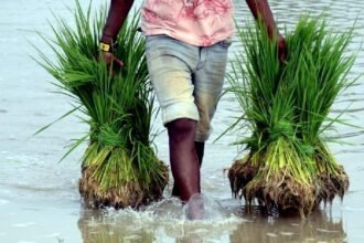 India EU FTA में कृषि क्षेत्र क्यों है सबसे बड़ा मुद्दा