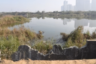 ग्रेटर नोएडा के सेक्टर 150 में निर्माणाधीन इमारत के जल-भराव वाले बेसमेंट में गिरकर सॉफ्टवेयर इंजीनियर युवराज मेहता की मौत के बाद पुलिस घटनास्थल पर।