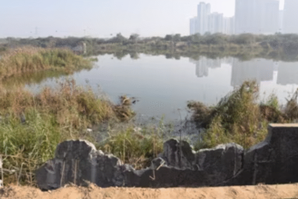 ग्रेटर नोएडा के सेक्टर 150 में निर्माणाधीन इमारत के जल-भराव वाले बेसमेंट में गिरकर सॉफ्टवेयर इंजीनियर युवराज मेहता की मौत के बाद पुलिस घटनास्थल पर।