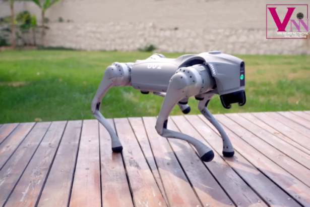 टेक एक्सपो में प्रदर्शित रोबोटिक डॉग का दृश्य