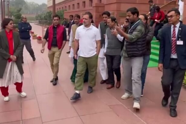 लोकसभा में हंगामे के बाद 8 विपक्षी सांसद निलंबित