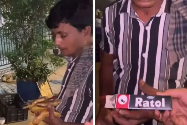 मलाड में फल विक्रेता द्वारा फलों पर जहरीला पदार्थ लगाते हुए वायरल वीडियो का दृश्य