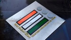 A decorated polling booth in rural Maharashtra with voters standing in queue during assembly by-election