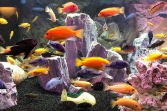 रात के अंधेरे में चमकता हुआ पूर्ण चंद्रमा (पिंक मून), जिसके नीचे हनुमान जी की एक शांत और ध्यानमग्न आकृति दिखाई दे रही है