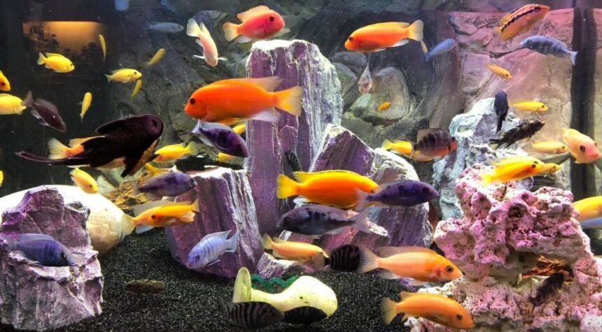 रात के अंधेरे में चमकता हुआ पूर्ण चंद्रमा (पिंक मून), जिसके नीचे हनुमान जी की एक शांत और ध्यानमग्न आकृति दिखाई दे रही है