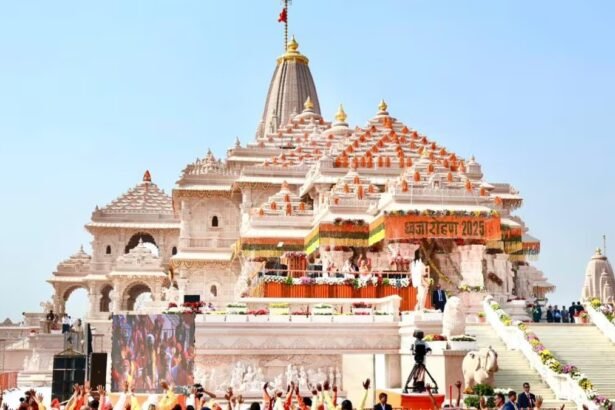 राम मंदिर अयोध्या का दृश्य, दान पेटी और जांच से जुड़े दस्तावेजों का प्रतीकात्मक चित्र