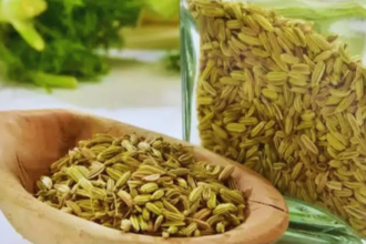 सौंफ की खेती कैसे करें? जानिए बुआई, सिंचाई, देखभाल और कटाई का सही तरीका