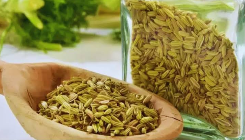 सौंफ की खेती कैसे करें? जानिए बुआई, सिंचाई, देखभाल और कटाई का सही तरीका